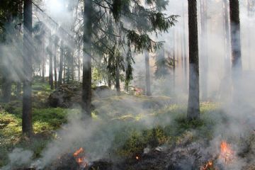 Sstato di massima pericolosit&#224; incendi boschivi